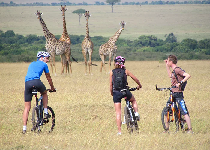 Cycling safari in Masai mara
