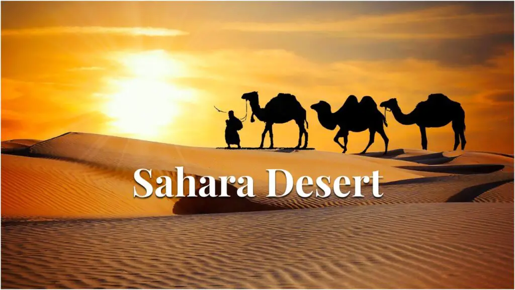 Sahara Desert